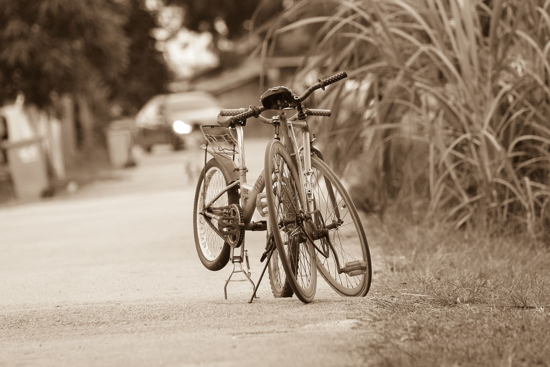 Estate Bicycles & Valley Routes